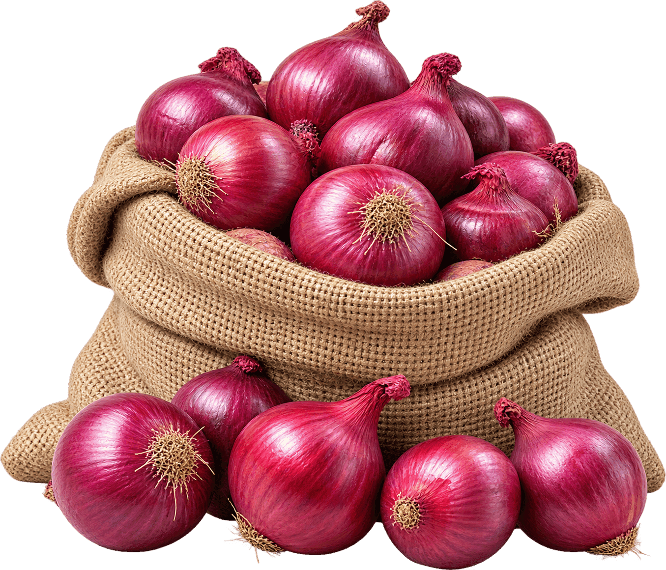 Farm-Fresh Red Onions